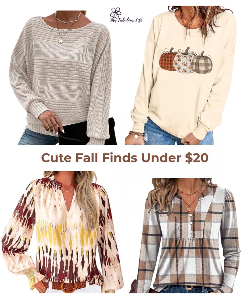 Fall tops for women under $20.00